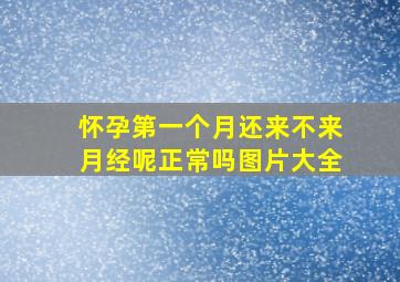 怀孕第一个月还来不来月经呢正常吗图片大全