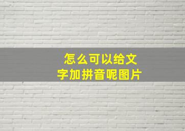 怎么可以给文字加拼音呢图片