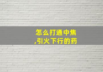 怎么打通中焦,引火下行的药