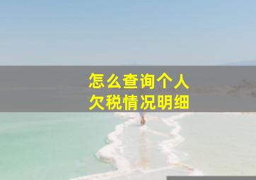 怎么查询个人欠税情况明细