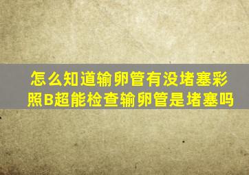 怎么知道输卵管有没堵塞彩照B超能检查输卵管是堵塞吗