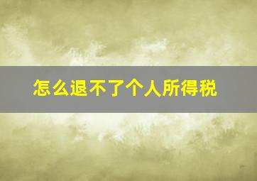 怎么退不了个人所得税