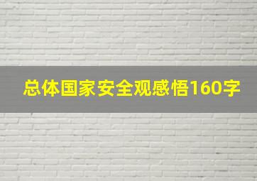 总体国家安全观感悟160字