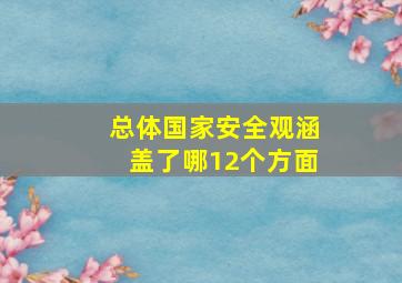 总体国家安全观涵盖了哪12个方面