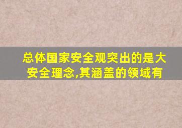 总体国家安全观突出的是大安全理念,其涵盖的领域有