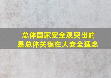 总体国家安全观突出的是总体关键在大安全理念