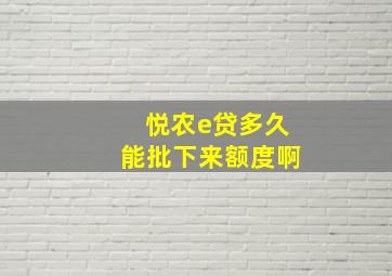 悦农e贷多久能批下来额度啊