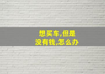 想买车,但是没有钱,怎么办