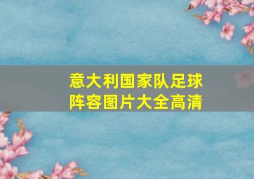 意大利国家队足球阵容图片大全高清