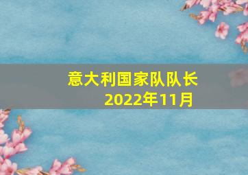 意大利国家队队长2022年11月