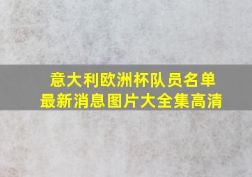 意大利欧洲杯队员名单最新消息图片大全集高清