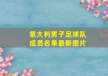 意大利男子足球队成员名单最新图片