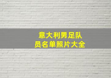 意大利男足队员名单照片大全