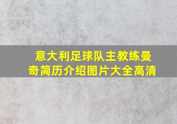 意大利足球队主教练曼奇简历介绍图片大全高清