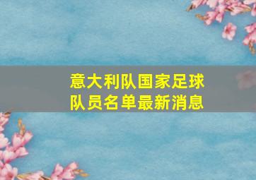 意大利队国家足球队员名单最新消息