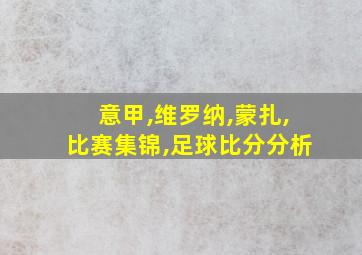 意甲,维罗纳,蒙扎,比赛集锦,足球比分分析