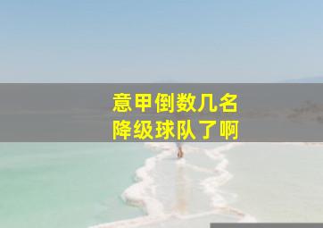 意甲倒数几名降级球队了啊