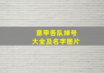 意甲各队绰号大全及名字图片