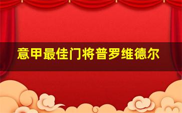 意甲最佳门将普罗维德尔