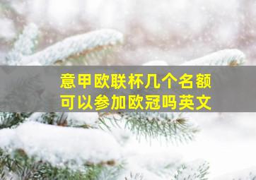 意甲欧联杯几个名额可以参加欧冠吗英文