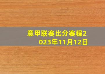 意甲联赛比分赛程2023年11月12日