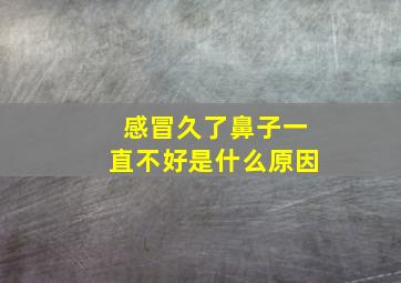 感冒久了鼻子一直不好是什么原因