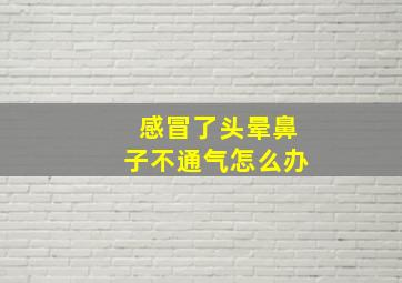 感冒了头晕鼻子不通气怎么办