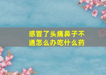 感冒了头痛鼻子不通怎么办吃什么药