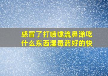 感冒了打喷嚏流鼻涕吃什么东西湿毒药好的快