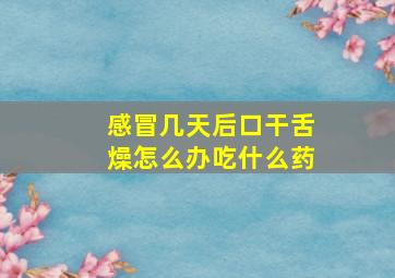 感冒几天后口干舌燥怎么办吃什么药