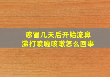 感冒几天后开始流鼻涕打喷嚏咳嗽怎么回事