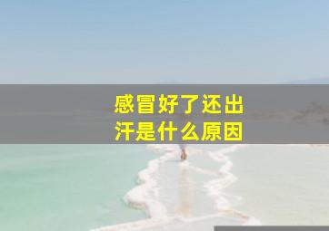 感冒好了还出汗是什么原因