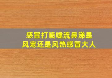 感冒打喷嚏流鼻涕是风寒还是风热感冒大人