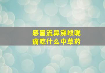 感冒流鼻涕喉咙痛吃什么中草药