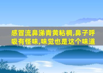 感冒流鼻涕青黄粘稠,鼻子呼吸有怪味,味觉也是这个味道