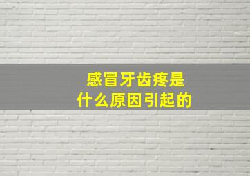 感冒牙齿疼是什么原因引起的