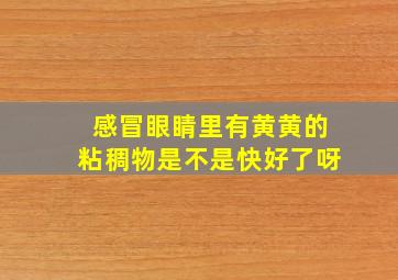 感冒眼睛里有黄黄的粘稠物是不是快好了呀