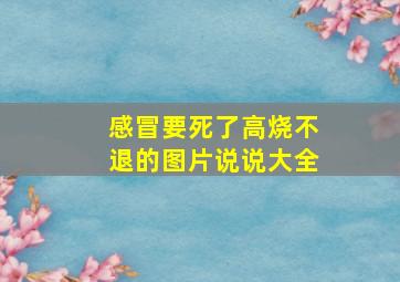 感冒要死了高烧不退的图片说说大全