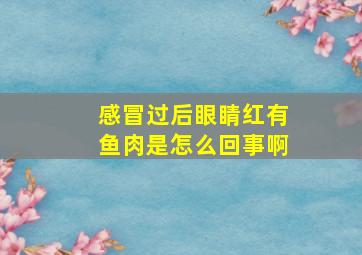 感冒过后眼睛红有鱼肉是怎么回事啊