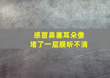 感冒鼻塞耳朵像堵了一层膜听不清