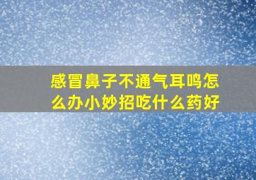 感冒鼻子不通气耳鸣怎么办小妙招吃什么药好