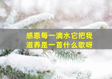 感恩每一滴水它把我滋养是一首什么歌呀