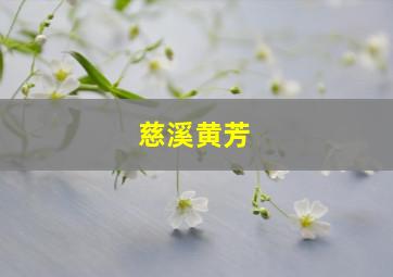 慈溪黄芳