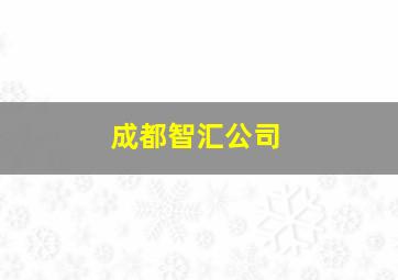 成都智汇公司