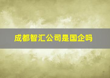 成都智汇公司是国企吗