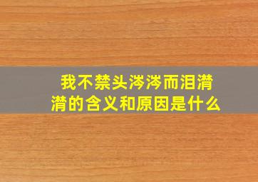 我不禁头涔涔而泪潸潸的含义和原因是什么