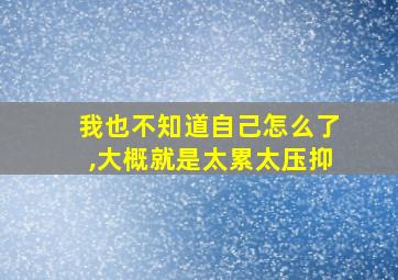 我也不知道自己怎么了,大概就是太累太压抑