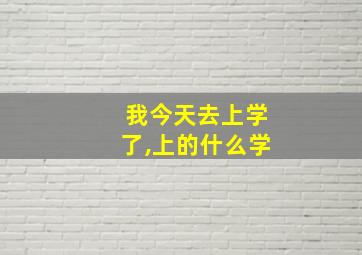 我今天去上学了,上的什么学