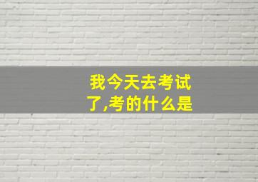 我今天去考试了,考的什么是