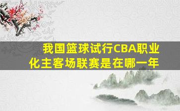 我国篮球试行CBA职业化主客场联赛是在哪一年